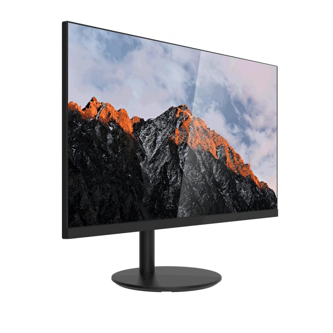 Monitor Dahua 24