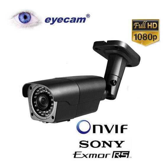 Camera IP full HD 2MP varifocala Eyecam EC-1104
