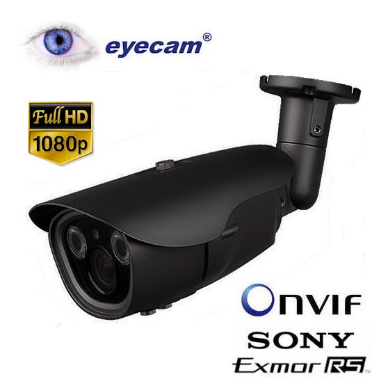 Camera IP Megapixel Eyecam EC-1105 - Full HD 1080P Varifocala