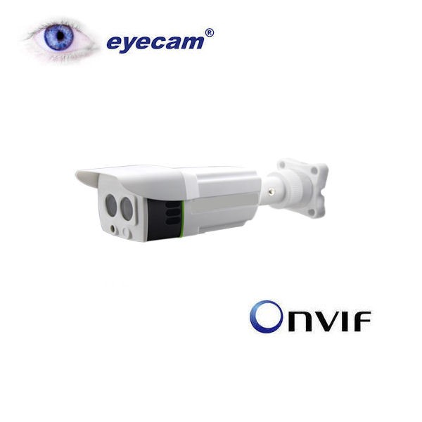 Camera IP Megapixel Eyecam EC-1203 - 1Mp