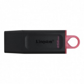 Memorie USB Flash Drive Kingston 256GB Data Traveler Exodia, USB 3.2