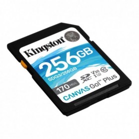 Card de Memorie SD Kingston Canvas GO Plus, 256GB, Class 10