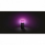 Stalp LED RGB extensie pentru iluminat exterior Philips Hue Calla, 8W (49W), 590 lm, lumina alba si color (2000-6500K), IP44, 25