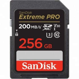 Micro Secure Digital Card SanDisk, 256GB, Clasa 10, Reading speed: 90MB/s