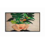 Monitor signage Philips 98” D-Line,  UHD,  24/7 landscape ( &)portrait, 500cd, Failover, Power by Android 8, CMND (Control and C