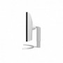 Monitor LG 37.5" 38WN95CP-W.AEU