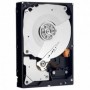 HDD intern WD   Black 1TB , Serial ATA-III 7200 RPM, 64MB