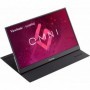 Monitor ViewSonic 17" VX1755