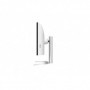 Monitor LG 39.7" 40WP95CP-W.AEU