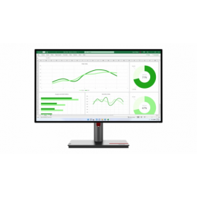 Monitor  Lenovo ThinkVision P27q-30 27" IPS, QHD (2560x1440)