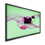 Ecran interactiv PHILIPS E-Line 75" A11