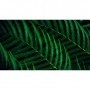 Monitor Philips 27" 27B2G5601/00, Diagonal (inch): 27, Diagonal (cm): 69, Aspect ratio: 16:9, Panel: IPS, Resolution: 2560x1440,