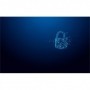 Kingston IronKey VP50 USB Stick 32GB