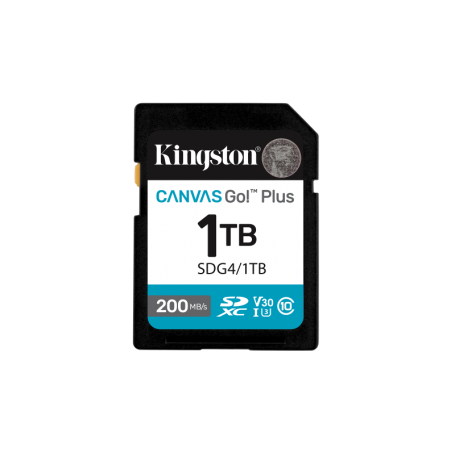 Card de Memorie SD Kingston Canvas GO Plus CL 10
