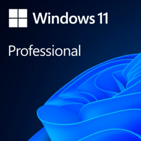 Microsoft Windows Professional 11 64-bit All Languages Online Product Key License 1 License Downloadable ESD NR