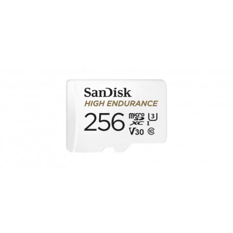 Card de Memorie MicroSDXC SanDisk, 256GB, Clasa 10, Reading speed: 100MB/s