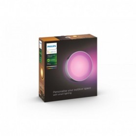 Aplica LED RGB pentru exterior Philips Hue Daylo, 15W (80W), 1050 lm, lumina alba si color (2000-6500K), IP44, 220x76mm, Inox